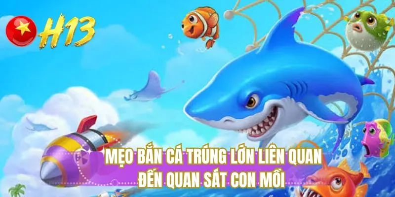 Mẹo bắn cá trúng lớn liên quan đến quan sát con mồi