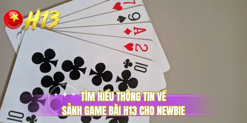 Tìm hiểu thông tin về sảnh game bài H13 cho newbie